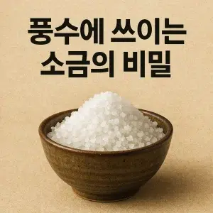 풍수에 쓰이는 소금의 비밀