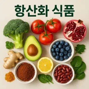 항산화 식품