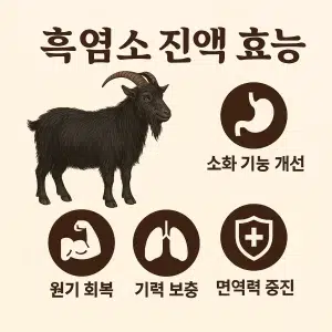 흑염소 진액