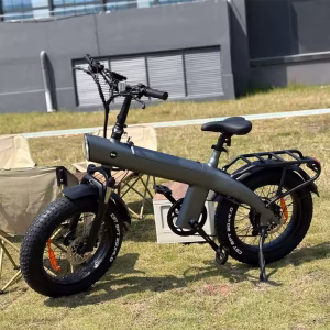 Electric Bicycle